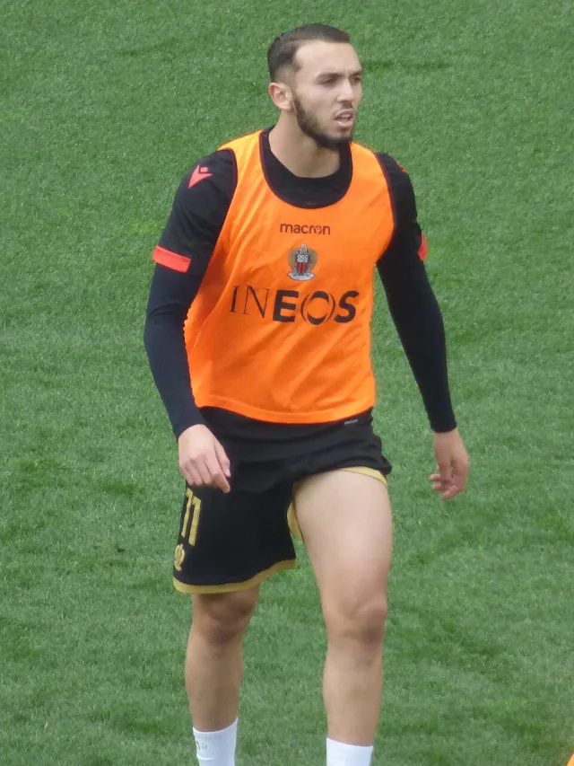 Амин Гуири