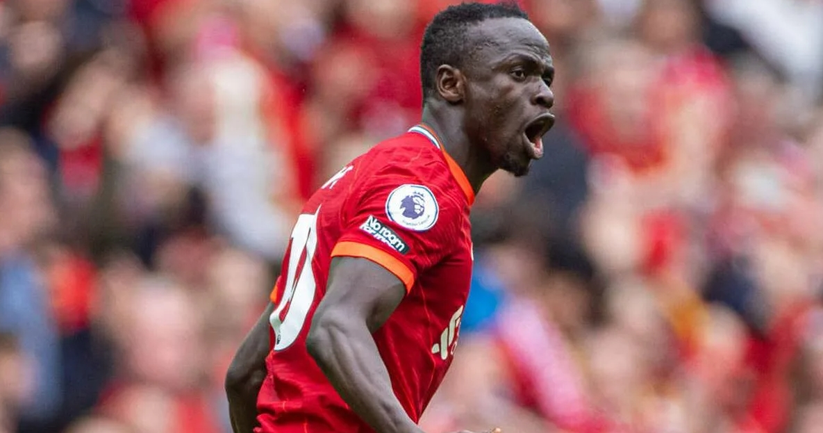 Профессиональный путь и клубная карьера